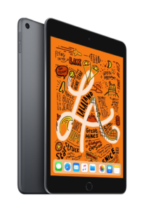 Apple iPad mini szary ispot